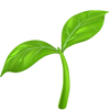Safe & Drug-Free Healing